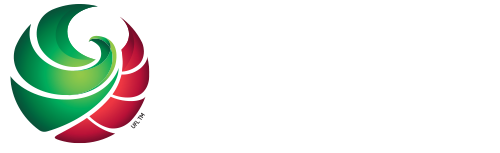 دوري اتصالات الرديف
