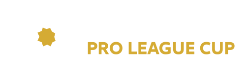 كأس رابطة المحترفين